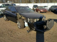 2013 TOYOTA CAMRY SE 4T1BK1FKXDU020493