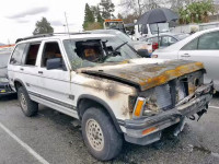 1993 CHEVROLET BLAZER S10 1GNDT13W7P2120754