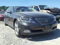 2009 LEXUS LS 600HL JTHDU46F695009888