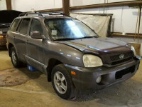 2004 HYUNDAI SANTA FE B KM8SB73D04U629522