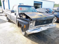 1975 CHEVROLET PICK UP CCV145Z116304