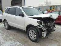 2010 HYUNDAI SANTA FE G 5NMSGDAB2AH334284