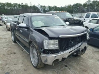 2010 GMC SIERRA C15 3GTRCVE03AG106296