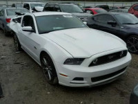 2014 FORD MUSTANG GT 1ZVBP8CFXE5242241