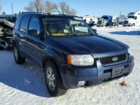 2004 FORD ESCAPE LIM 1FMCU94104KB64511