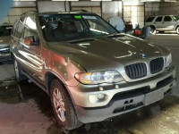 2005 BMW X5 3.0I 5UXFA13525LY16457