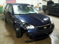 2007 CHEVROLET MALIBU MAX 1G1ZT68N17F193843