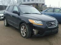 2011 HYUNDAI SANTA FE L 5XYZKDAG3BG009423