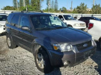 2006 FORD ESCAPE LIM XFMYU94146KC32561