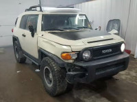 2010 TOYOTA FJ CRUISER JTEBU4BF2AK091263