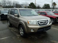 2009 HONDA PILOT EX 5FNYF38459B011908