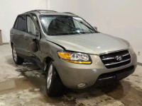 2009 HYUNDAI SANTA FE S 5NMSH13E59H234162