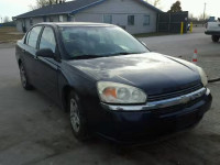 2004 CHEVROLET MALIBU 1G1ZS52F24F194008