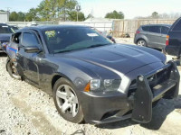 2014 DODGE CHARGER PO 2C3CDXAT9EH132961