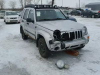 2004 JEEP LIBERTY RE 1J4GL38K94W236950