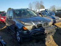 2002 BMW X5 3.0I 5UXFA53512LP52804