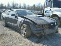 2007 FORD MUSTANG GT 1ZVFT82H875262653