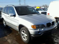 2002 BMW X5 3.0I 5UXFA53502LP42393