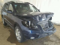 2009 HYUNDAI SANTA FE S 5NMSH13E19H316552