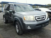 2009 HONDA PILOT EXL 5FNYF38569B014003