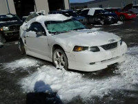 2001 FORD MUSTANG GT 1FAFP42X81F125307