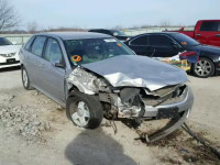 2007 CHEVROLET MALIBU MAX 1G1ZT68N57F131202