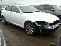 2014 JAGUAR XF SAJWA0ES2EPU24278