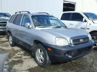 2004 HYUNDAI SANTA FE KM8SB13D64U620529