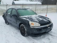 2004 CHEVROLET MALIBU 1G1ZS52F04F244467