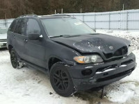 2005 BMW X5 3.0I 5UXFA13575LY08337