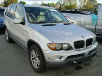 2005 BMW X5 3.0I 5UXFA135X5LY00040