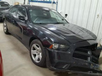 2013 DODGE CHARGER PO 2C3CDXAT8DH560793
