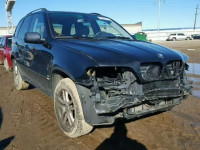 2005 BMW X5 3.0I 5UXFA13545LY06612