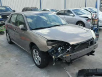 2007 CHEVROLET MALIBU MAX 1G1ZT68N97F213224