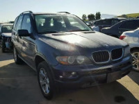 2005 BMW X5 3.0I 5UXFA13515LY08477