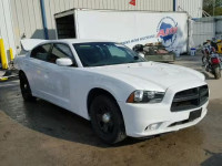 2014 DODGE CHARGER PO 2C3CDXAG5EH187393