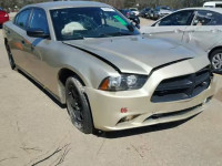 2014 DODGE CHARGER PO 2C3CDXAT0EH307923