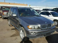 2005 BMW X5 3.0I 5UXFA13525LU48445