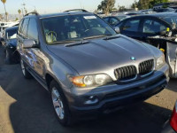 2005 BMW X5 3.0I 5UXFA13505LY06669