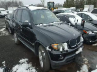 2005 BMW X5 3.0I 5UXFA13555LY15755