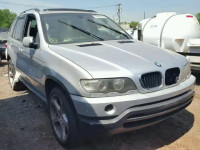 2002 BMW X5 3.0I 5UXFA53512LP44704