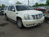 2010 CADILLAC ESCALADE E 1GYUKHEF1AR288240