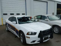2014 DODGE CHARGER PO 2C3CDXAT5EH227405