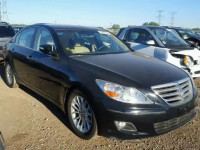 2010 HYUNDAI GENESIS KMHGC4DE1AU081261