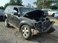 2010 FORD ESCAPE XLS 1FMCU0C78AKD07363