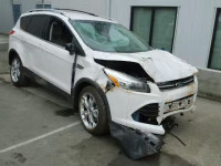 2015 FORD ESCAPE TIT 1FMCU9J94FUC27014