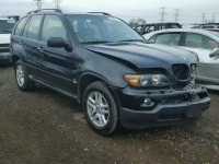 2005 BMW X5 3.0I 5UXFA13545LY00339