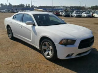 2014 DODGE CHARGER PO 2C3CDXAT3EH145818