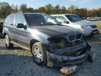 2005 BMW X5 3.0I 5UXFA135X5LY23124