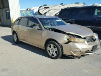 2007 CHEVROLET MALIBU MAX 1G1ZT68N07F265521